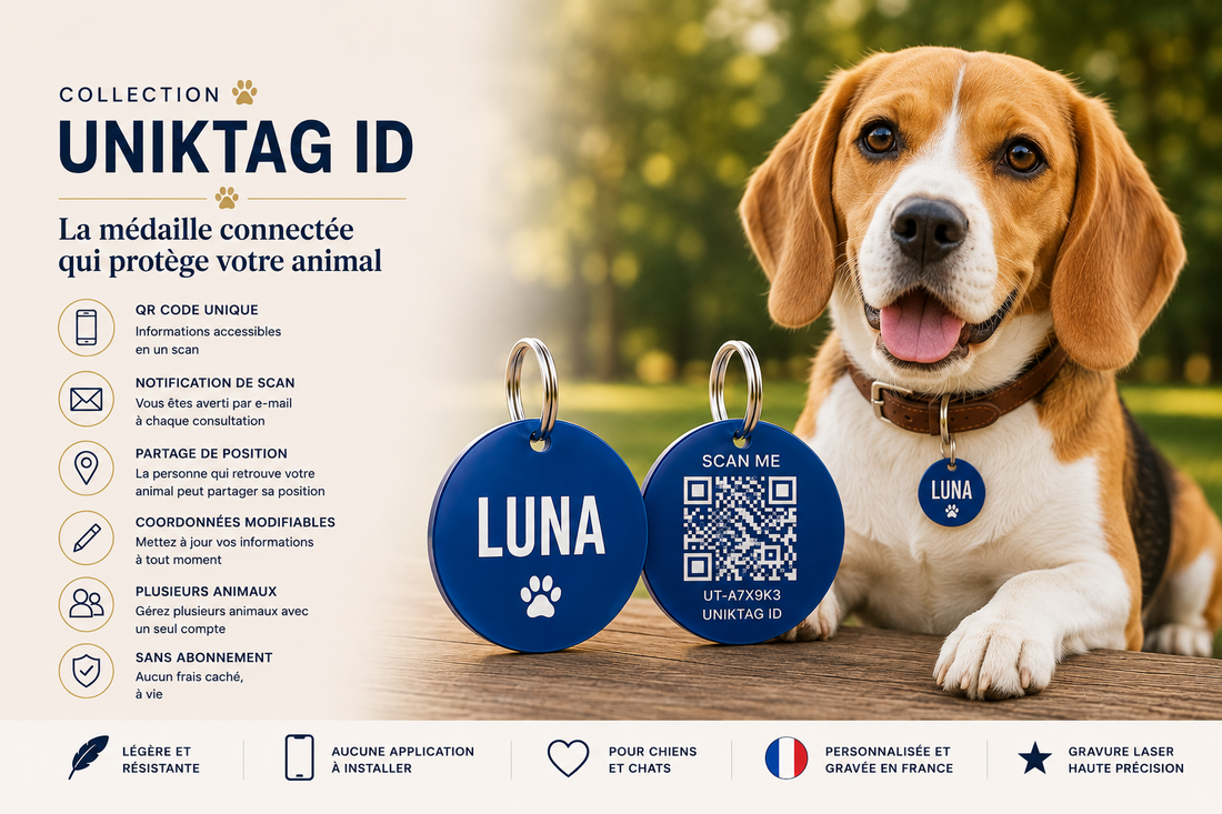 Médaille QR Code pour chien et chat : découvrez UNIKTAG ID