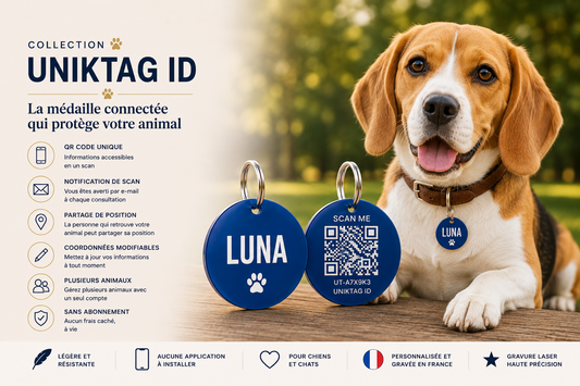 Médaille QR Code pour chien et chat : découvrez UNIKTAG ID