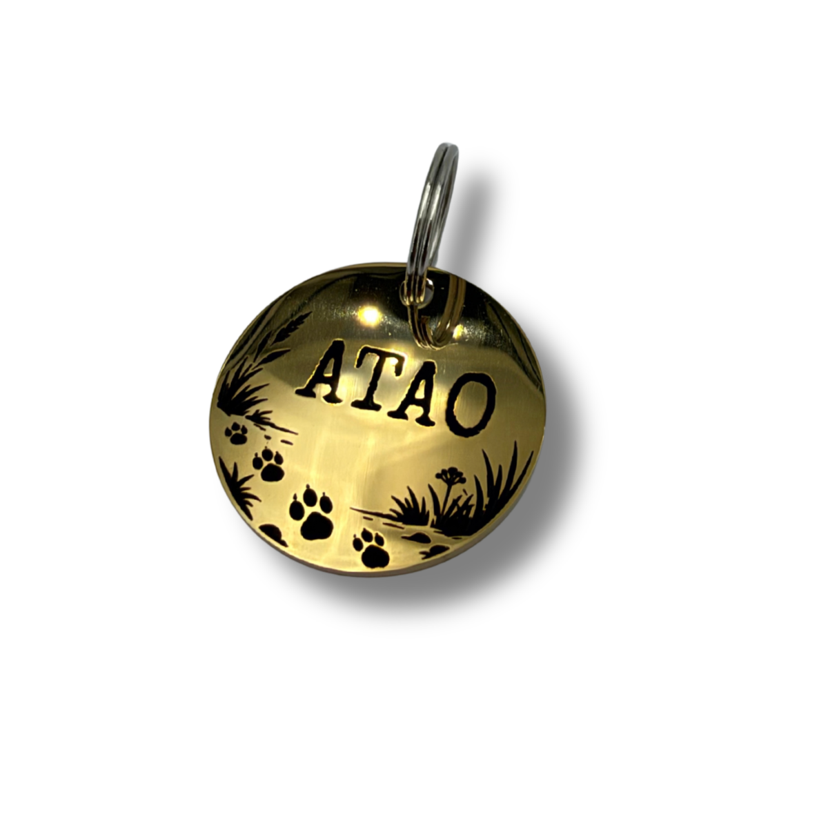 Médaille illustrée en Acier Inoxydable Personnalisée pour Chien et Chat