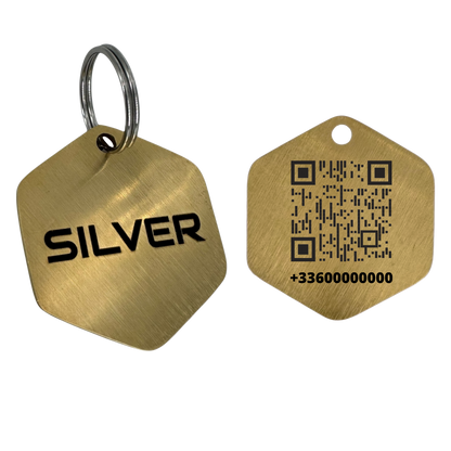 Médaille grand hexagone en laiton avec QR Code pour chien et chat – UNIKTAG