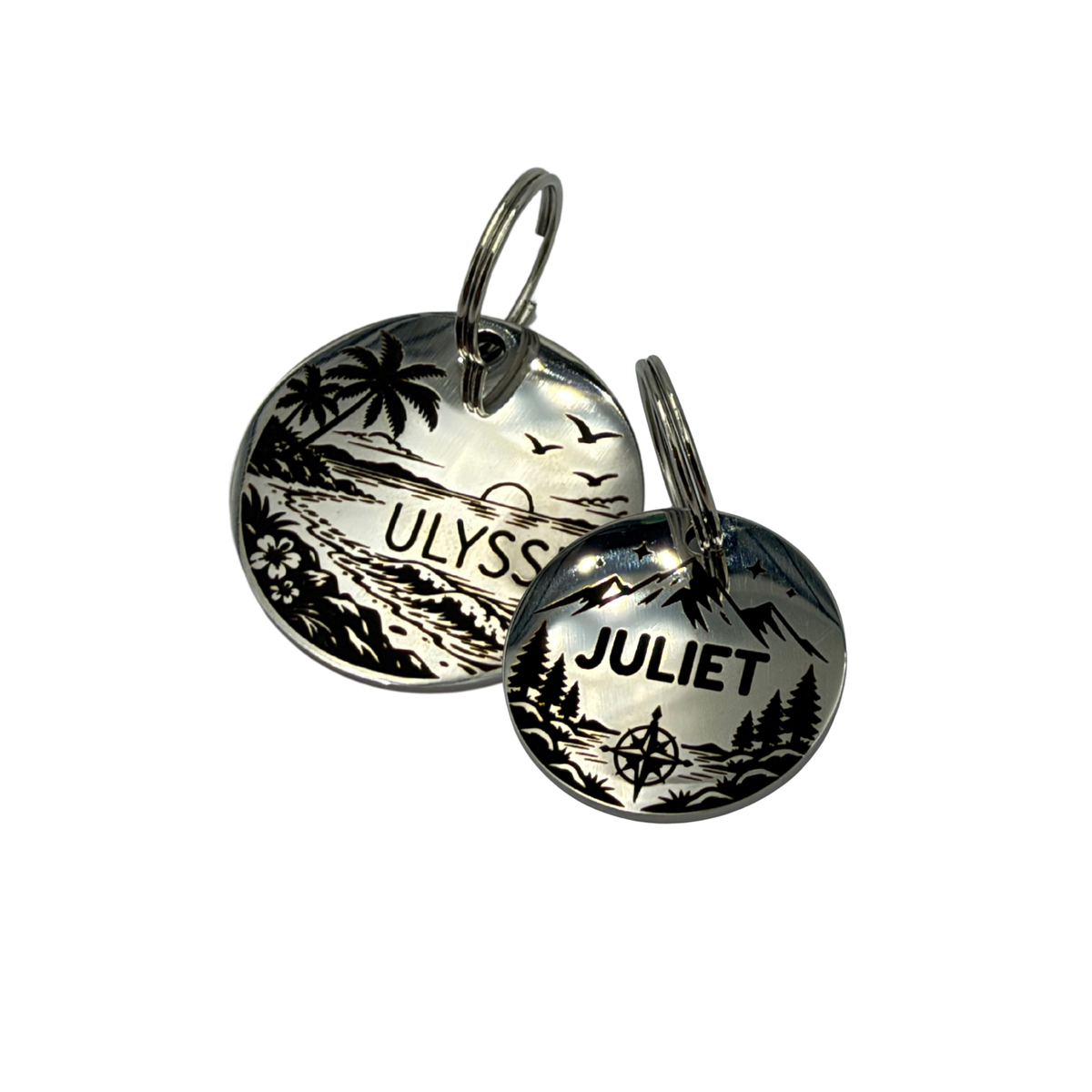 Médaille illustrée en Acier Inoxydable Personnalisée pour Chien et Chat