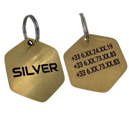 Médaille hexagone en laiton personnalisée pour chien – UNIKTAG