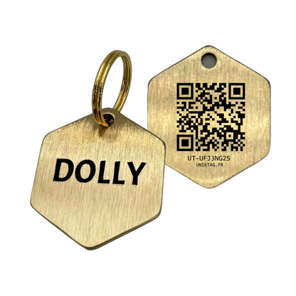 Hexagonal Brass Pet ID Tag with Custom QR Code for Dogs and Cats