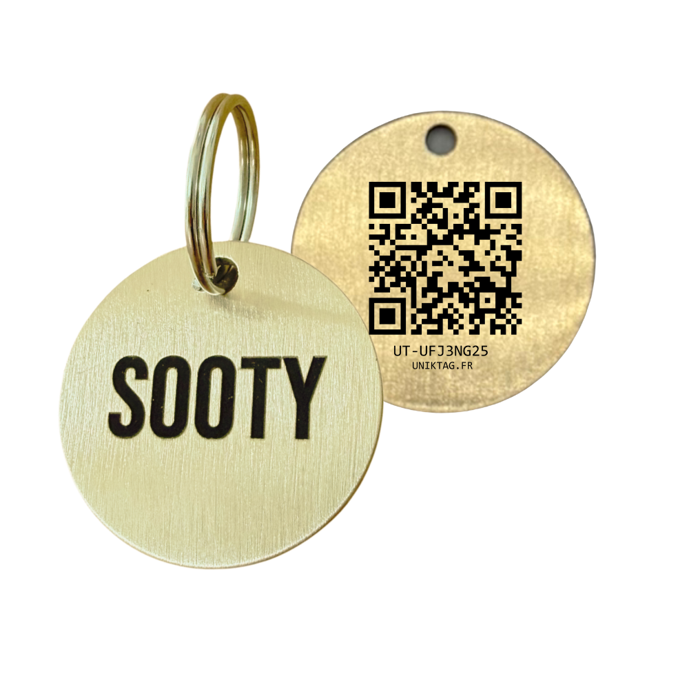 Custom Round Brass Pet ID Tag