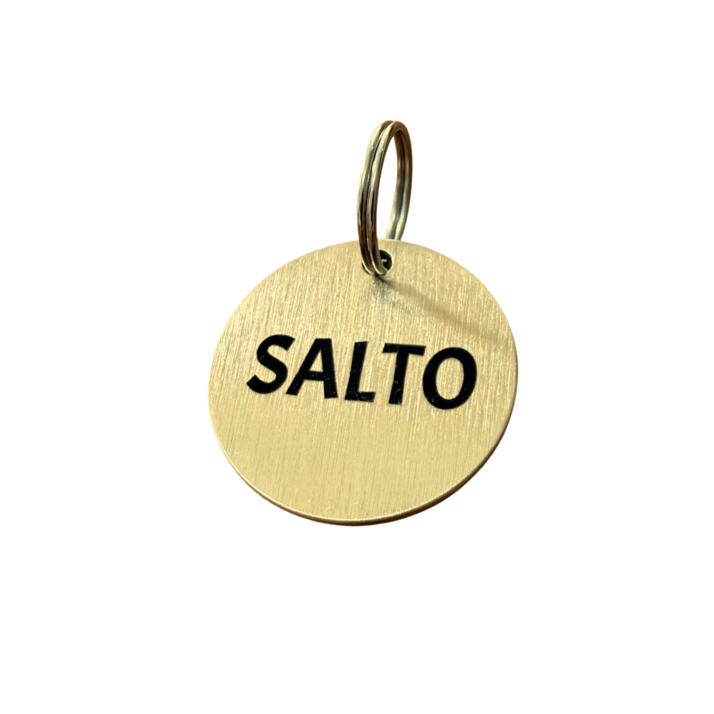 Custom Round Brass Pet ID Tag