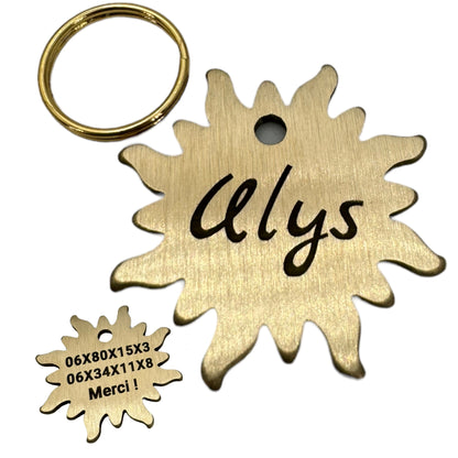 Médaille soleil en laiton personnalisée pour chien et chat – UNIKTAG