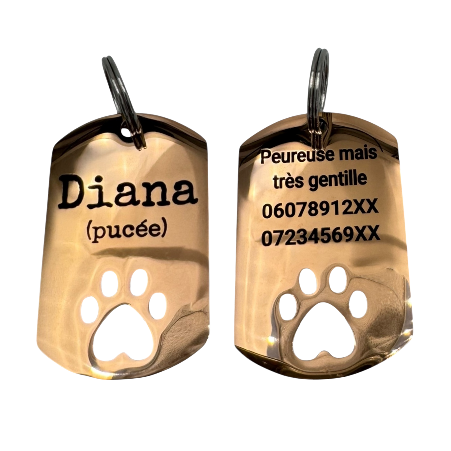 Plaque patte acier, anneau de fixation fourni