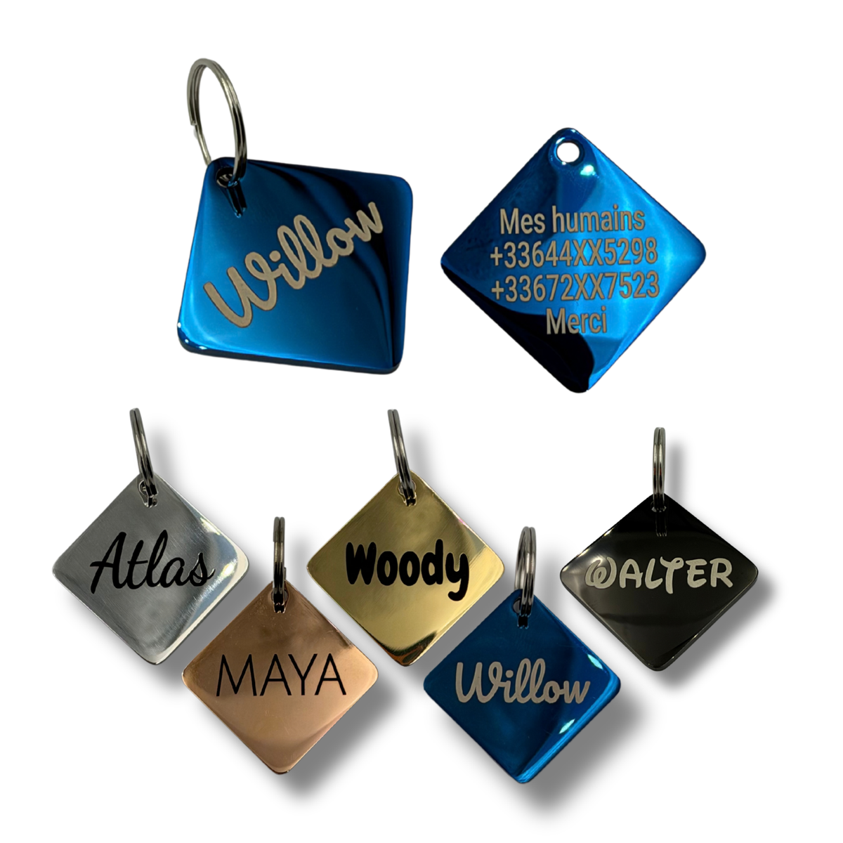 Médaille carrée personnalisée pour chien en acier inoxydable