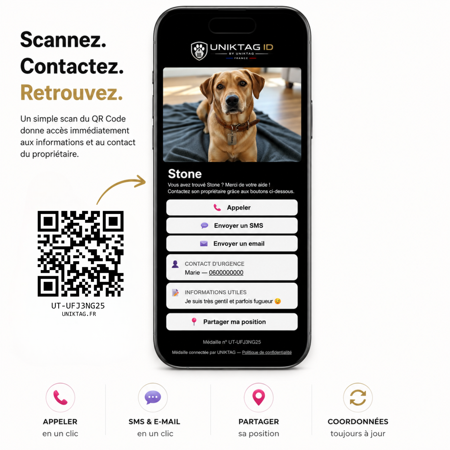 Personalized Brass Large Hexagon QR Code Pet ID Tag for Dogs and Cats