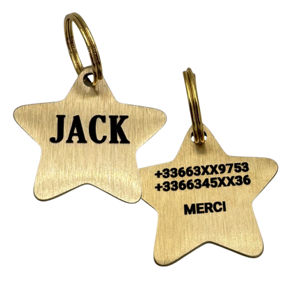 Médaille étoile en laiton personnalisée pour chien et chat – UNIKTAG