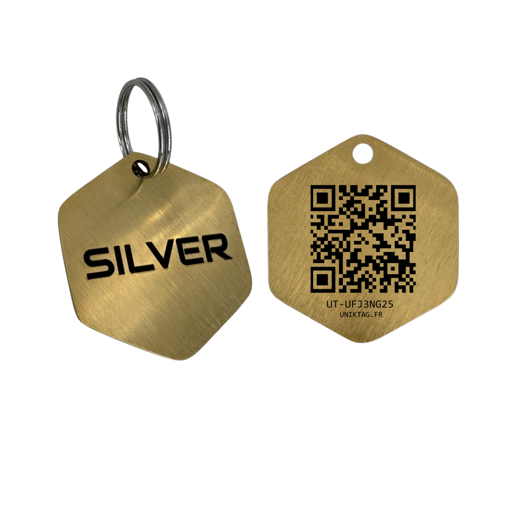 Personalized Brass Large Hexagon QR Code Pet ID Tag for Dogs and Cats