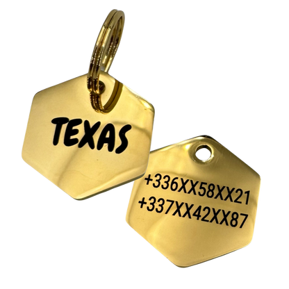 Médaille hexagonale en acier inoxydable pour chien et chat