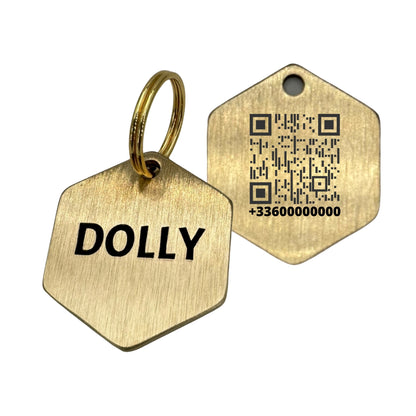 Médaille hexagone en laiton avec QR Code pour chien et chat – UNIKTAG