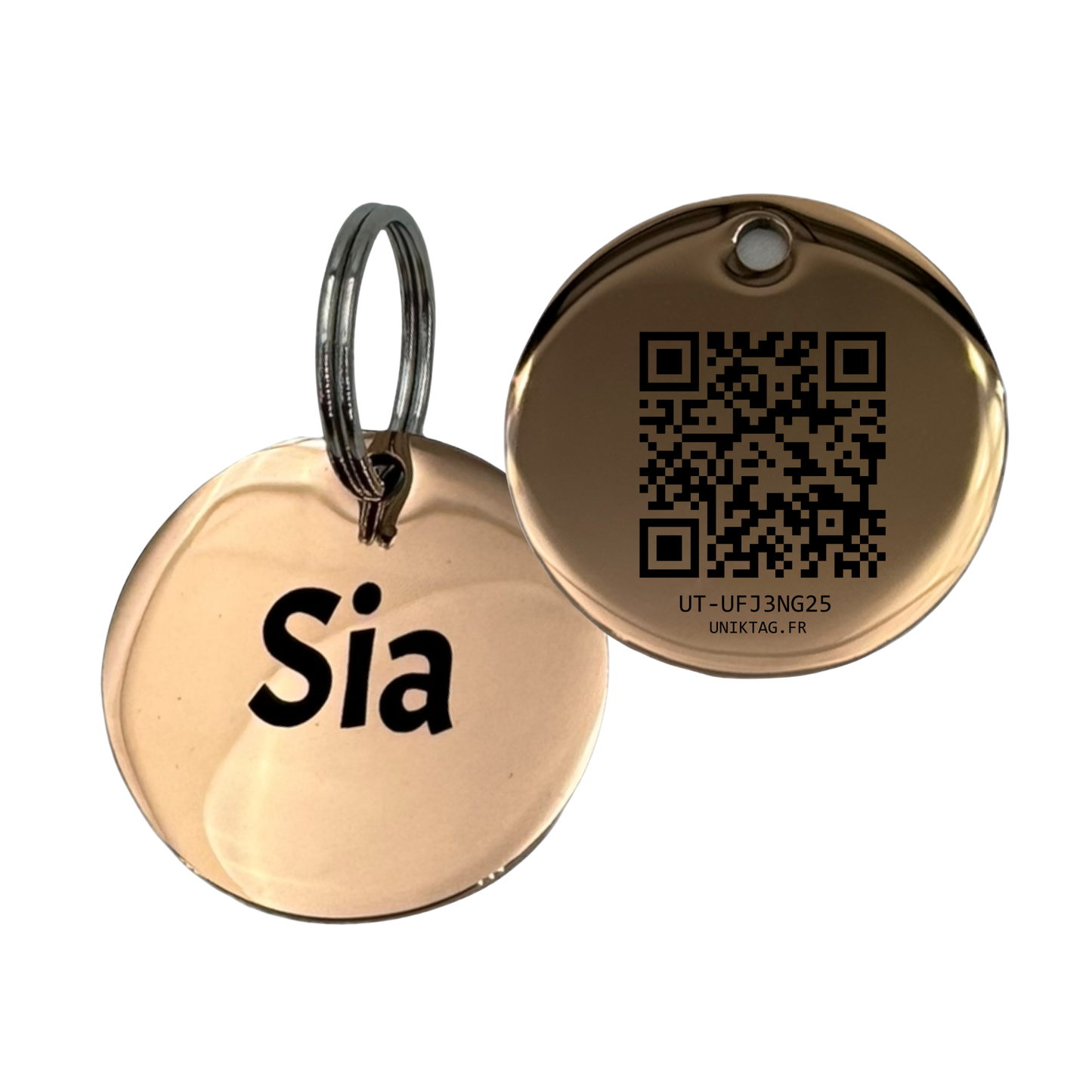 Médaille QR Code en Acier Inoxydable pour Chien et Chat
