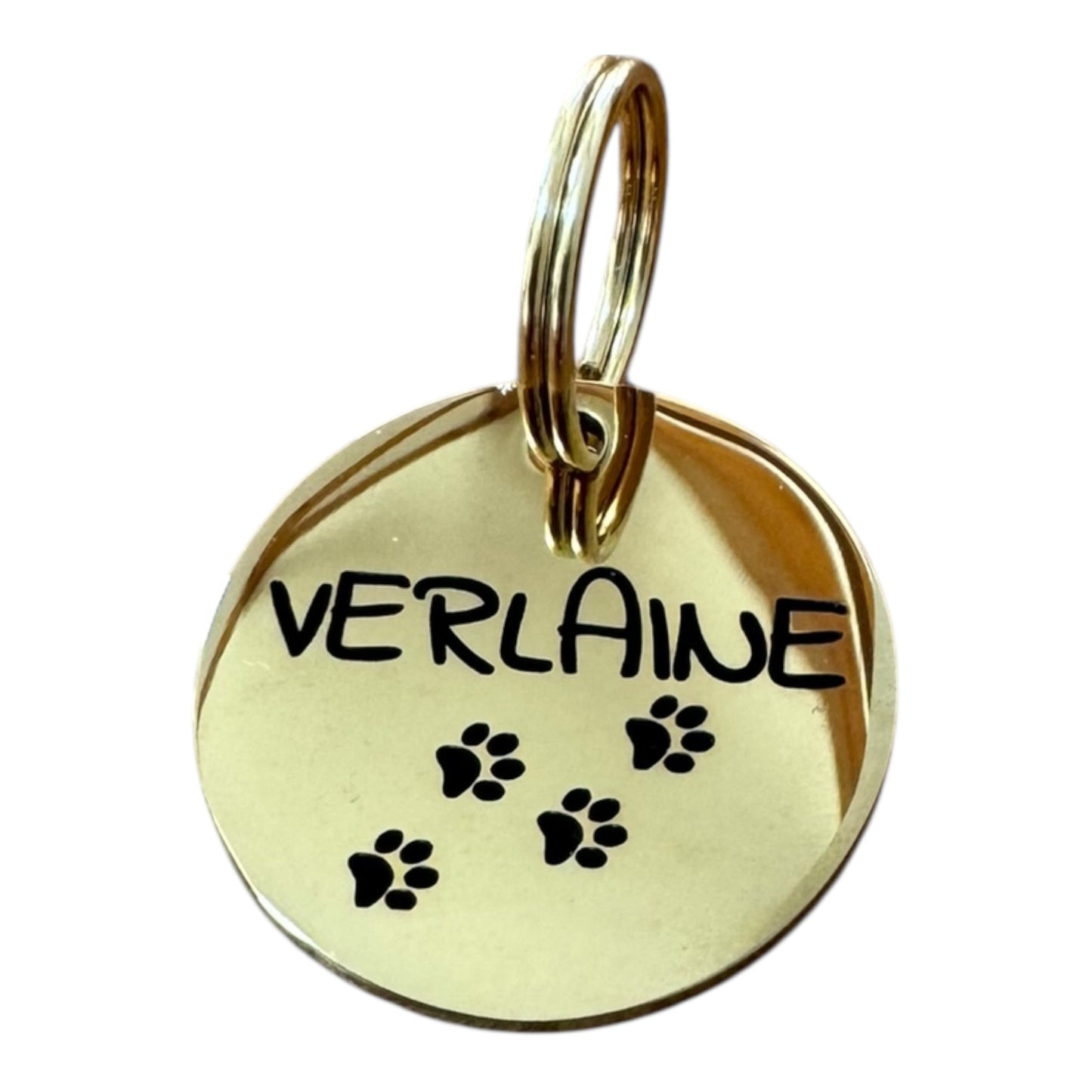 Médaille en acier inoxydable gravée avec motif pour chien et chat