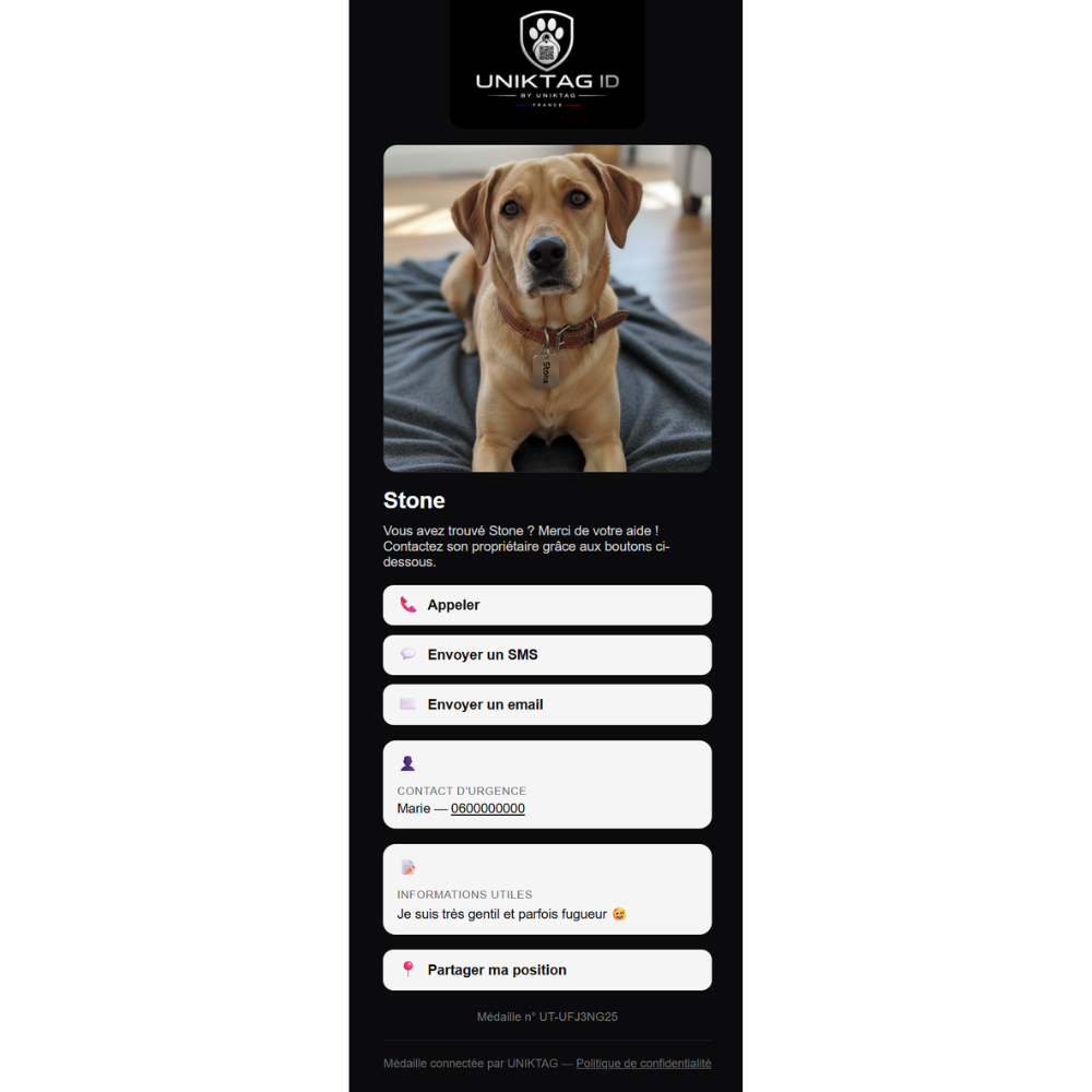 Personalized Brass QR Code Snowflake Tag for Dogs