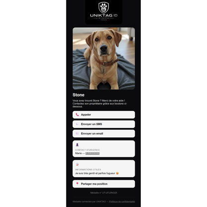 Personalized Brass QR Code Snowflake Tag for Dogs