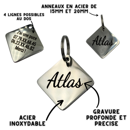 Médaille carrée personnalisée pour chien en acier inoxydable
