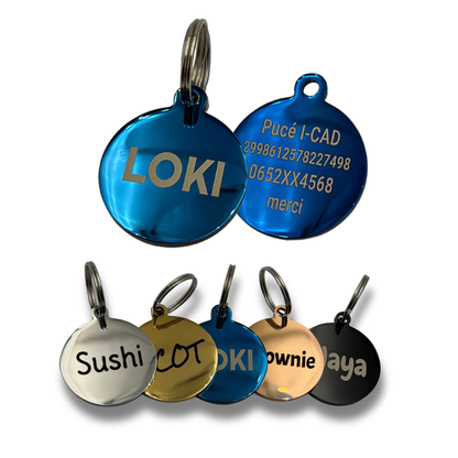 Médaille ronde personnalisée pour chien et chat en acier inoxydable