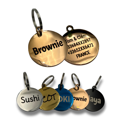 Médaille ronde personnalisée pour chien et chat en acier inoxydable